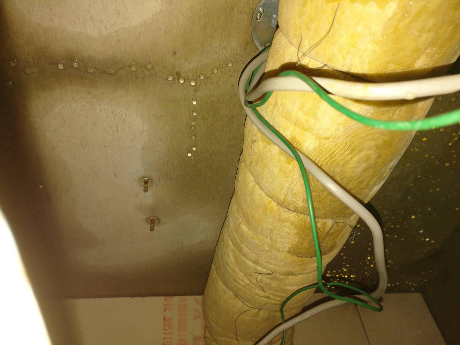 壁から水がにじみ出ている