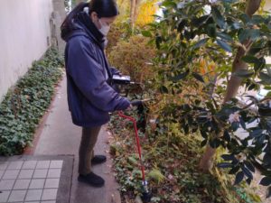 トレーサーガス植木周辺漏水調査